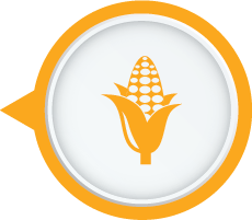 maintain Fresh-food-